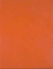 Greig Rasmussen, No Man's Rose, 1999, acrylic on canvas