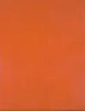 Greig Rasmussen, No Man's Rose, 1999, acrylic on canvas