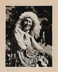 Alfred Blyth, Chief Bear Paw, photograph on paper