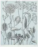James McLaren Nicoll, Seed Pods #36/50, 1979, colour etching and relief print on paper