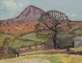 Adrian Dingle, Sharpe Tor Cornwall, Early Spring