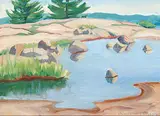 Doris Jean McCarthy, Polly's Puddle