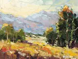 Neil Patterson, Soft Colours