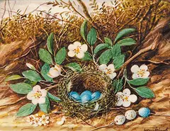 William M. Cruikshank, Bird's Nest [with Blue Eggs] and Flowers, oil on ivory