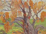 Mary Spice Kerr, Old Mesquite Tree, Arizona, 1982, oil on canvas board
