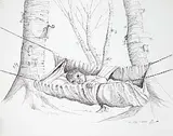 Edward Cobiness, A Child's Hammock Made from a Folded Blanket, 1974, ink on paper