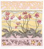 Dora Helen Mackie, Shooting Stars and Summer Skies #21/32