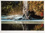Ken Danby, Untitled - Tree with Melting Snow #70/100, 1981, colour silkscreen on paper