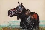 John Gilroy, Untitled - Moose in the Marsh, pastel on paper