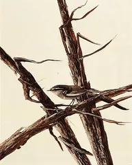 Kenneth Michael Kirkby, Untitled - Morning Song, 1982, oil on hard board