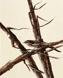 Kenneth Michael Kirkby, Untitled - Morning Song, 1982, oil on hard board