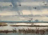 Illingworth Kerr, Rain