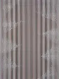 Christopher Cran, Green Screen #1