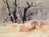 Luke Orton Lindoe, Cottonwoods, Spring