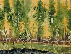 Murray William MacDonald, Tamarack and Spruce, watercolour on paper