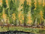 Murray William MacDonald, Tamarack and Spruce, watercolour on paper