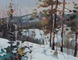 Jim Vest, Whitehorse Winterscape