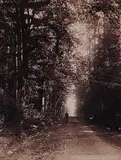 William and Sons Notman, 2147 - Roadway, Stanley Park Vancouver, black and white photograph