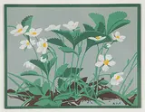 A. J. Casson, Untitled - Wild Strawberries, colour silkscreen on paper