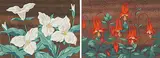 A. J. Casson, Untitled - Trillium/Columbine, silkscreen on wood board