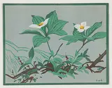 A. J. Casson, Untitled - Dogwood, colour silkscreen on paper