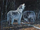 Desmond McCaffrey, Spirit of the Timber, 1999, oil on wood board