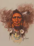 Harley W. Brown, Bull Plume Blackfoot