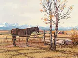 George A. Horvath, Lonely Mare