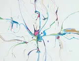 Alex Janvier, Evidence of My Do