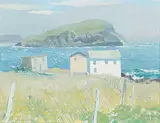 Franklin Arbuckle, Maberly, Bonavista, Nfld., 1985, oil on canvas board