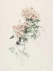 Molly Lamb Bobak, Pink Cineraria #149/250, 1978, colour lithograph on paper