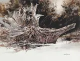 Brian R. Johnson, Shaman, watercolour on paper