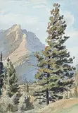 Margaret Shelton, Untitled - Mount Cascade