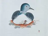 Kavavaow Mannomee, Sheltered Nestling #6/50, 1992, colour stonecut and stencil on paper