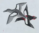 Kananginak Pootoogook, Niviuturq [Protecting the Young] #6/50
