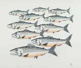Aoudla Pudlat, Migrating Fish #25/50, 1993, colour lithograph on paper