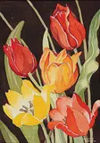 Annora Brown, Untitled - Blooming Tulips