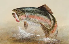 John Crittenden, Untitled - Rainbow Trout, 1979, oil on wood board