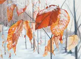 Linda Hobley, Untitled - Fall Leaves, oil on canvas