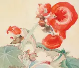 Alison Houston Lockerbie Newton, Untitled - Begonia, watercolour on paper