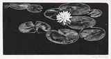 Lily by Walter J. Phillips, 1932, wood block on paper, sold Nov 2011