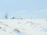 Ted Raftery, January Sunshine