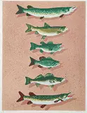 David Thauberger, Hook, Line and Sinker #27/75, 1978, colour silkscreen on paper