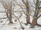Joan Van Belkum, Cows in Snow I, 1976, oil on canvas