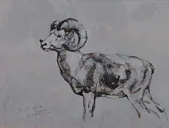 Robert A. Wyatt, Dall Ram, 1983, oil on canvas