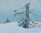 Robert Genn, Late Light