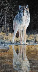 Desmond McCaffrey, Wolf Creek, 1998, oil on wood board