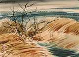 Carl Schaefer, Thornbush, Waterloo County, 1960, watercolour on paper