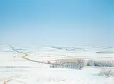 William H. Webb, Alberta Afternoon