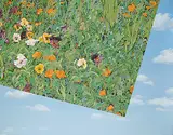 Maureen Enns, Flower Patch, 1981, acrylic on canvas